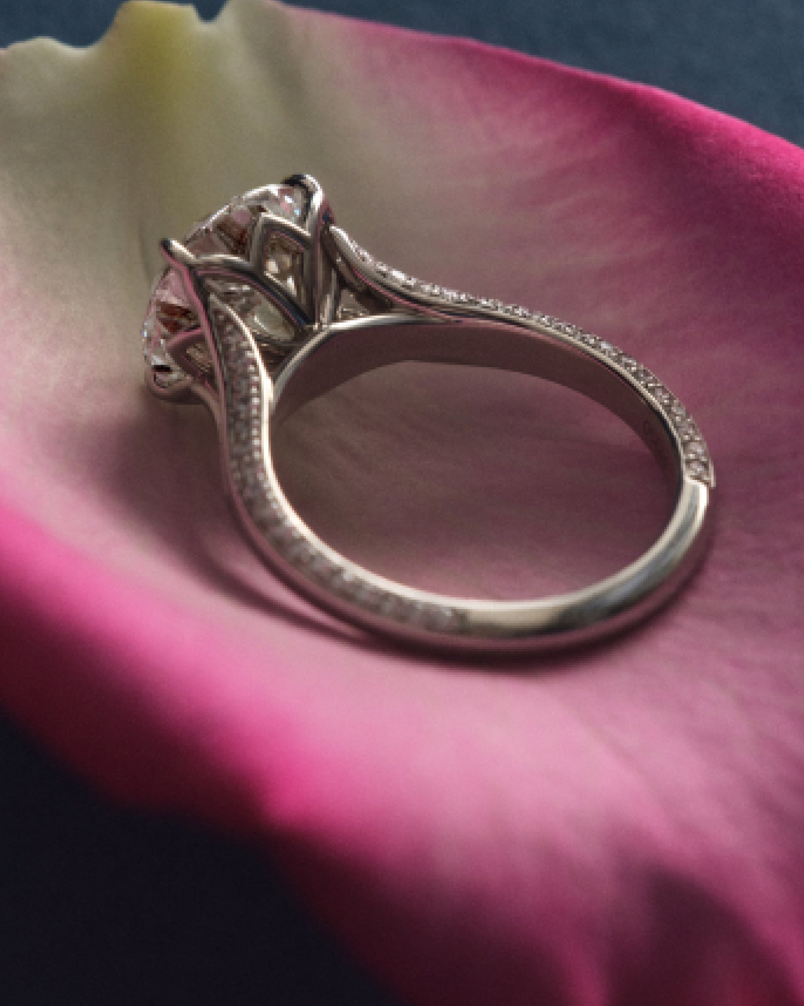 SIMI Lotus Split Shank Ring